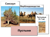 Модель-аппликация "Природные зоны России" - «globural.ru» - Псков