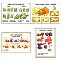 Плакаты ПРОФТЕХ "Ассортимент овощных культур" (12 пл, винил, 70х100) - «globural.ru» - Псков