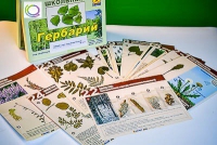 Гербарий к курсу основ общей биологии - «globural.ru» - Псков