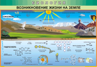 Таблица Возникновение жизни на Земле 1000*1400 винил - «globural.ru» - Псков