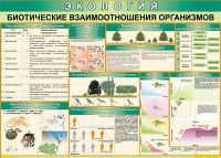 Таблица Биотические взаимоотношения организмов 1000*700 (винил) - «globural.ru» - Псков