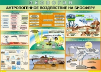 Таблица Антропогенное воздействие на биосферу 1000*700 винил - «globural.ru» - Псков