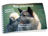 Пособие для слабовидящих "Домашние животные" - «globural.ru» - Псков