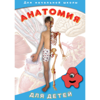 DVD  Анатомия для детей - «globural.ru» - Псков