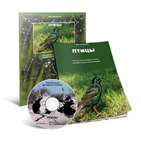 Электронное наглядное пособие «Птицы» - «globural.ru» - Псков