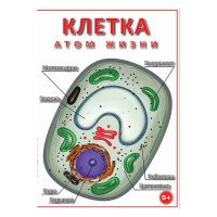 DVD Клетка - "атом жизни" - «globural.ru» - Псков