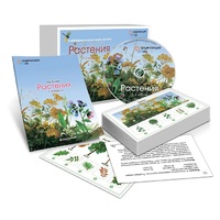 Комбинированное наглядное пособие «Растения» - «globural.ru» - Псков