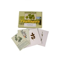 Гербарий "Деревья и кустарники" (22 вида, с иллюстрациями) - «globural.ru» - Псков