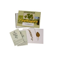 Гербарий "Лекарственные растения" (22 вида, с иллюстрациями) - «globural.ru» - Псков