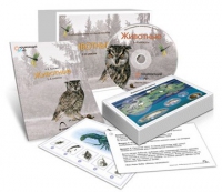 Комбинированное наглядное пособие «Животные» - «globural.ru» - Псков