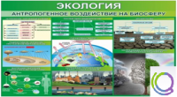 Стенд "Экология. Антропогенное воздействие на биосферу" - «globural.ru» - Псков