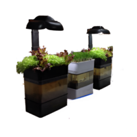 Учебная установка "Аквапоника"  - «globural.ru» - Псков