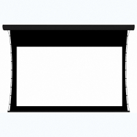 Экран настенный с электроприводом DSTPX-16918 - «globural.ru» - Псков