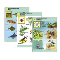 Комплект таблиц для начальной школы "Окружающий мир. Животный мир" - «globural.ru» - Псков