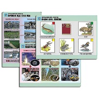 Комплект таблиц для  начальной школы "Окружающий мир. Экология" - «globural.ru» - Псков