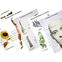 Таблицы по природоведению 1-3 класс - «globural.ru» - Псков