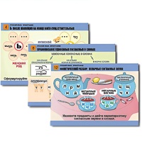 Комплект таблиц для начальной школы "Русский язык. Орфография" - «globural.ru» - Псков