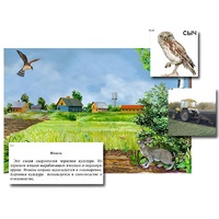 Магнитный плакат-аппликация "Поле: биоразнообразие и взаимосвязи в сообществе" - «globural.ru» - Псков