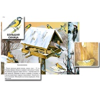 Магнитный плакат-аппликация "Биоразнообразие и экологические группы. Птицы зимой" - «globural.ru» - Псков