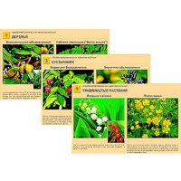 Гербарий фотографический "Ядовитые растения" - «globural.ru» - Псков