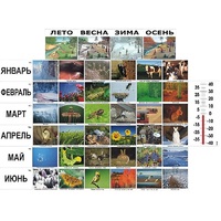 Фенологические наблюдения - «globural.ru» - Псков