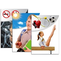 Модель-аппликация "Здоровье человека" - «globural.ru» - Псков