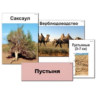 Модель-аппликация "Природные зоны России" - «globural.ru» - Псков