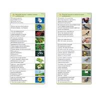 Комплект карточек (10) "Обучающий калейдоскоп. Природа" - «globural.ru» - Псков