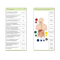 Комплект карточек (10) "Обучающий калейдоскоп. Человек" - «globural.ru» - Псков