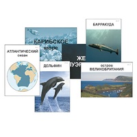 Модель-аппликация "Океаны. Знакомство" (ламинированная) - «globural.ru» - Псков