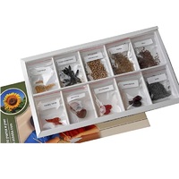 Коллекция "Плоды сельскохозяйственных растений" (вариант 2) - «globural.ru» - Псков