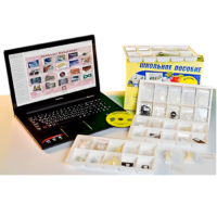 Коллекция натурально-интерактивная "Пластмассы" - «globural.ru» - Псков