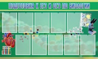 Стенд "Подготовка к ЕГЭ и ОГЭ по биологии" (вариант 2) - «globural.ru» - Псков