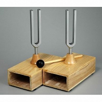 Камертоны на резонансных ящиках с молоточком - «globural.ru» - Псков