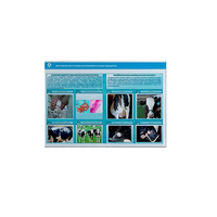 Стенд-планшет светодинамический «Изучение асептических и гнойных воспалительных процессов» - «globural.ru» - Псков