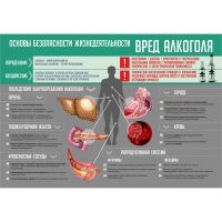 Стенд "Алкоголь" - «globural.ru» - Псков