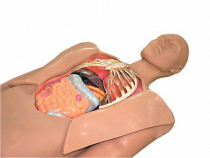 Муляж оперируемого пациента с экскурсией в грудную клетку и маской наркоза - «globural.ru» - Псков