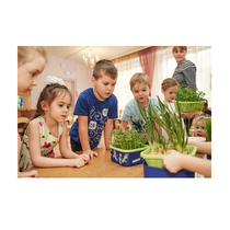 Обучающий комплект экологической направленности "Сити-фермер 2.0 Детский сад" 10 человек - «globural.ru» - Псков