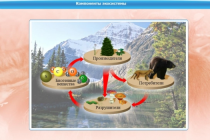 Интерактивные курсы. Биология 7 класс. Базовый - «globural.ru» - Псков