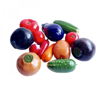 Комплект муляжей демонстрационный - «globural.ru» - Псков