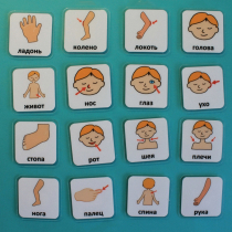 Набор карточек "Части тела" - «globural.ru» - Псков