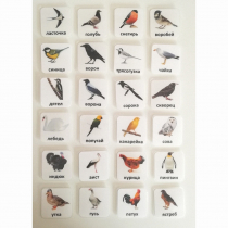 Набор карточек "ПТИЦЫ" - «globural.ru» - Псков