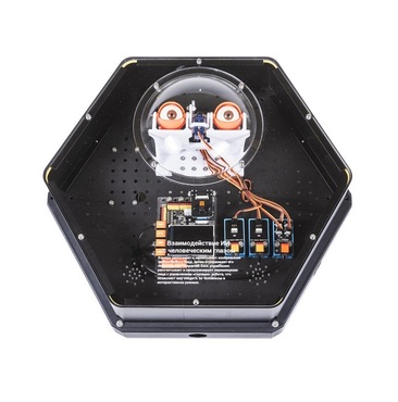 Модуль интерактивный с искусственным интеллектом "Наблюдатель" - «globural.ru» - Псков