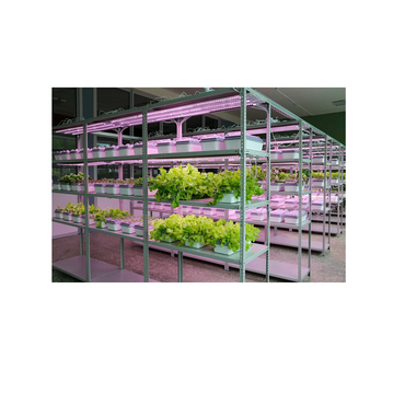 Обучающий комплект "АГРОкласс" - «globural.ru» - Псков