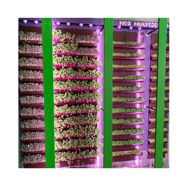 Вертикальная ферма "Моя Микрозелень" комплектация Школьная - «globural.ru» - Псков
