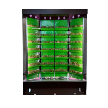 Вертикальная ферма "Моя Микрозелень" комплектация "Театро настольная" - «globural.ru» - Псков