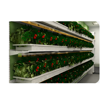 Стеллаж для выращивания клубники "Стена" - «globural.ru» - Псков