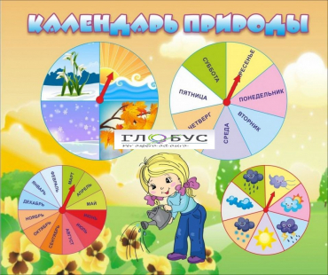 Стенд "Календарь природы" (вариант 1) - «globural.ru» - Псков