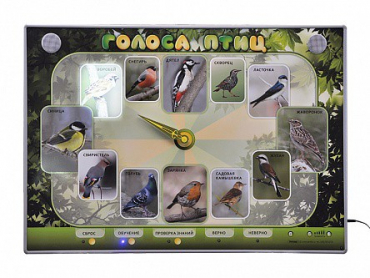 Электрифицированный стенд-часы "Голоса птиц" с комплектом дидактического материала - «globural.ru» - Псков