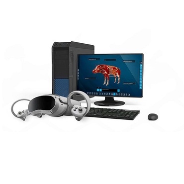 Интерактивный учебный комплекс «Анатомия Свиньи» - «globural.ru» - Псков